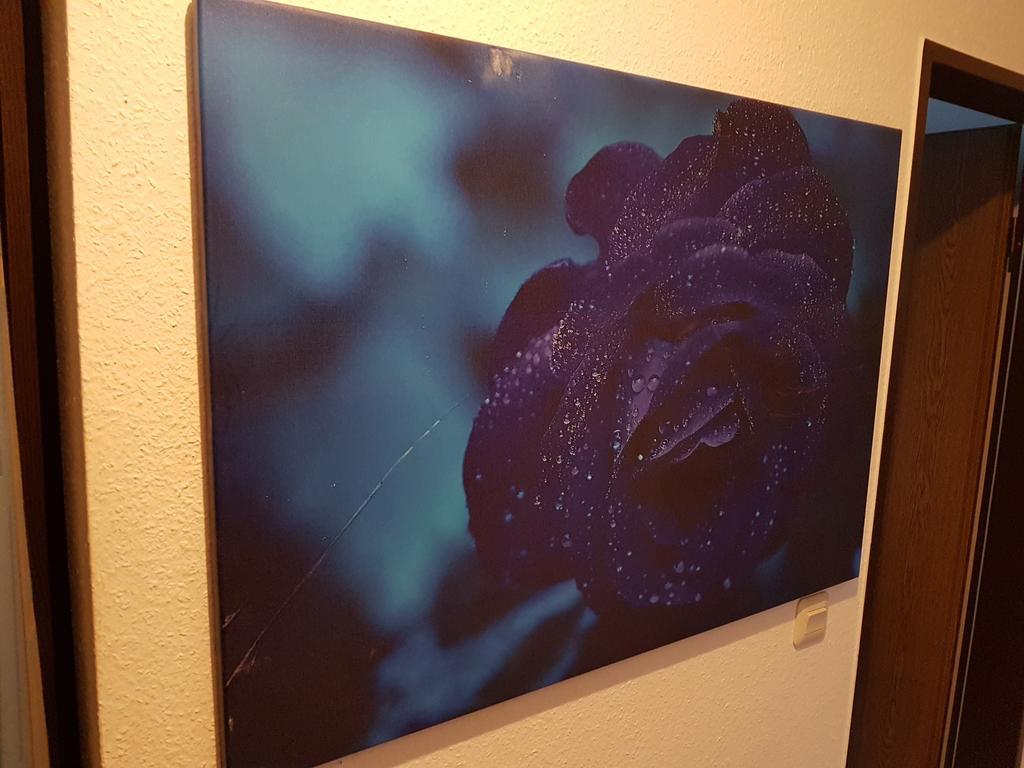 Landhotel Grimmeblick ヴィンターベルク エクステリア 写真